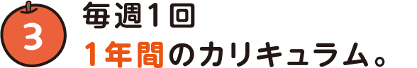 毎週1回、1年間のカリキュラム