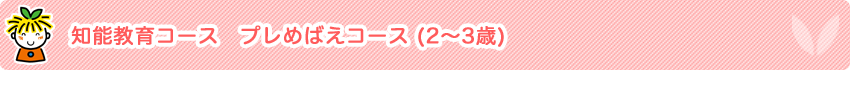 pagetitle_chiiku02
